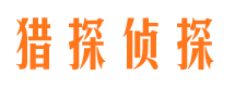 台江侦探